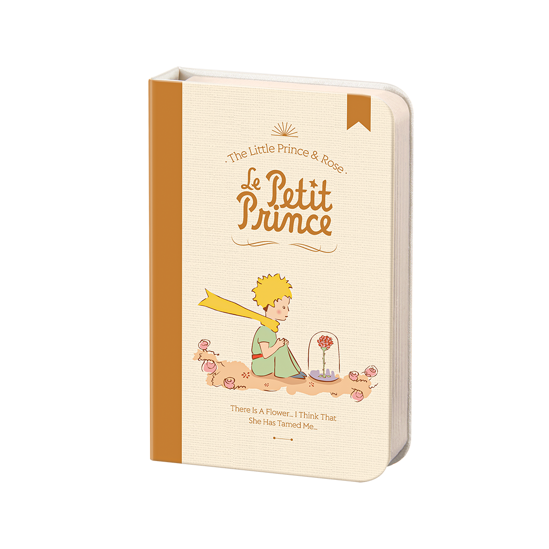 The Little Prince Lamp (Book Style) by Martube