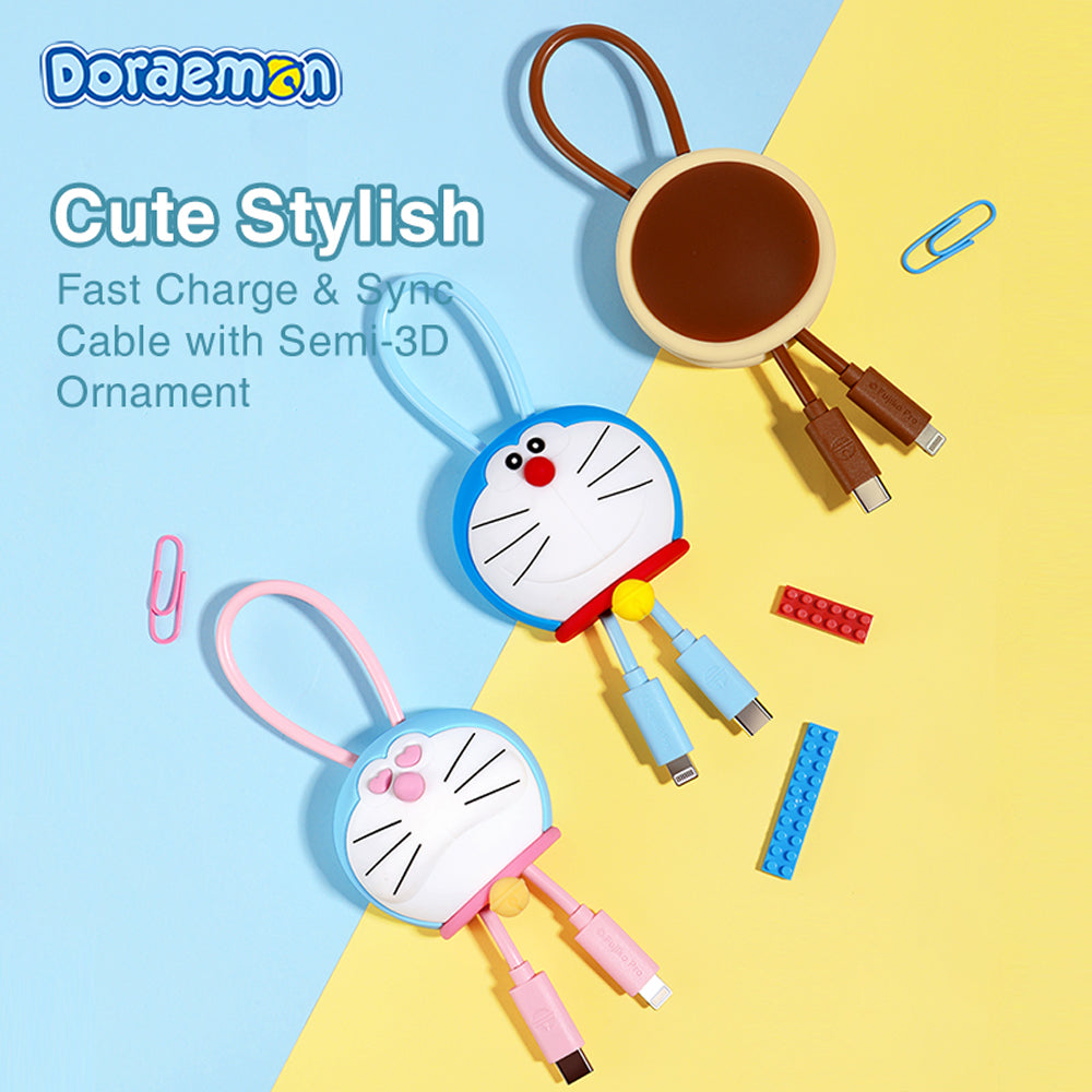 Doraemon Fast Charge & Sync Cable (C TO C 100W) By Rock