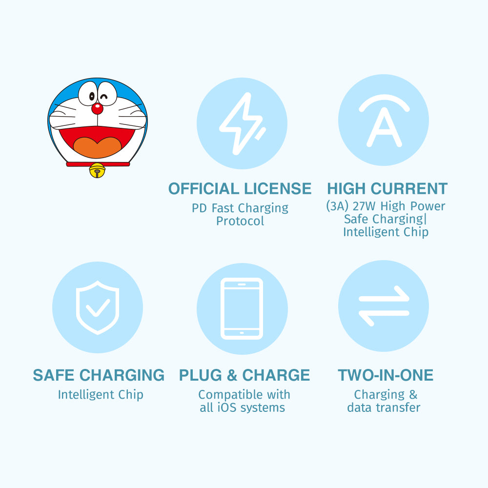 Doraemon Fast Charge & Sync Cable (C TO C 100W) By Rock