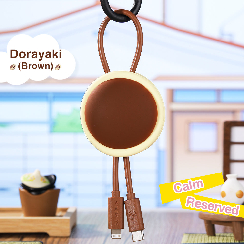 Doraemon Fast Charge & Sync Cable (C TO C 100W) By Rock