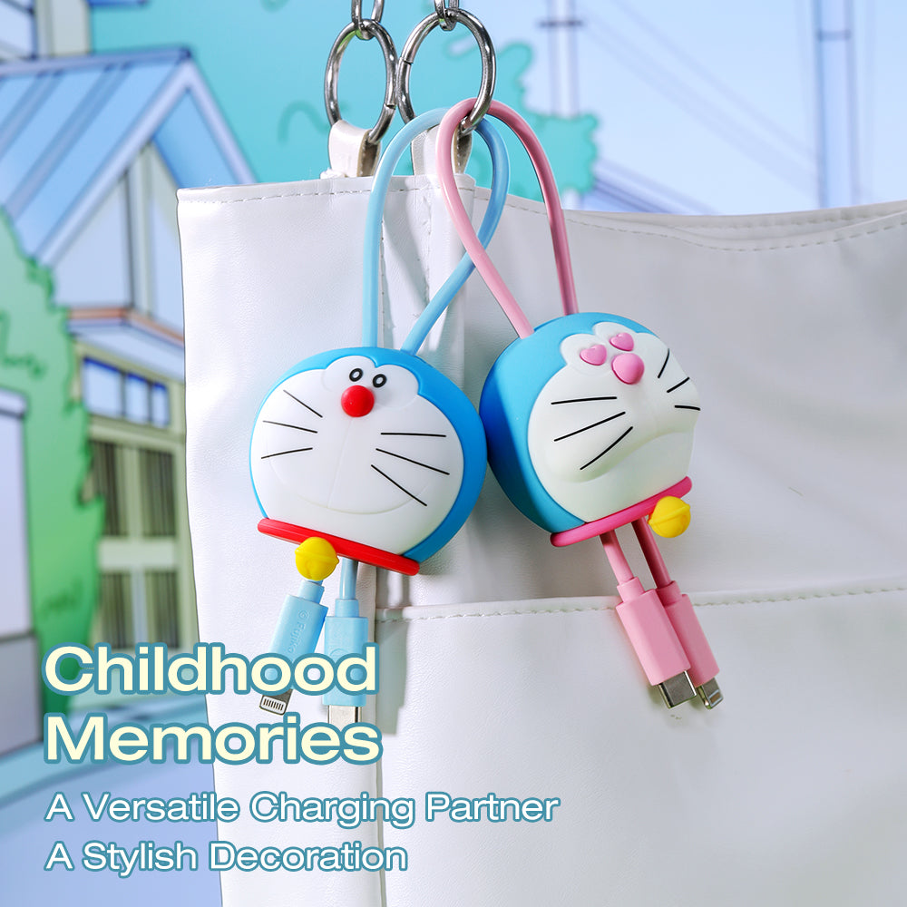 Doraemon Fast Charge & Sync Cable (C TO C 100W) By Rock