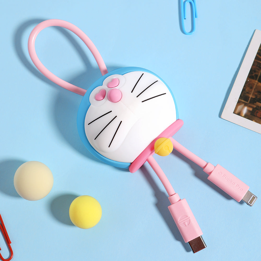 Doraemon Fast Charge & Sync Cable (C TO C 100W) By Rock